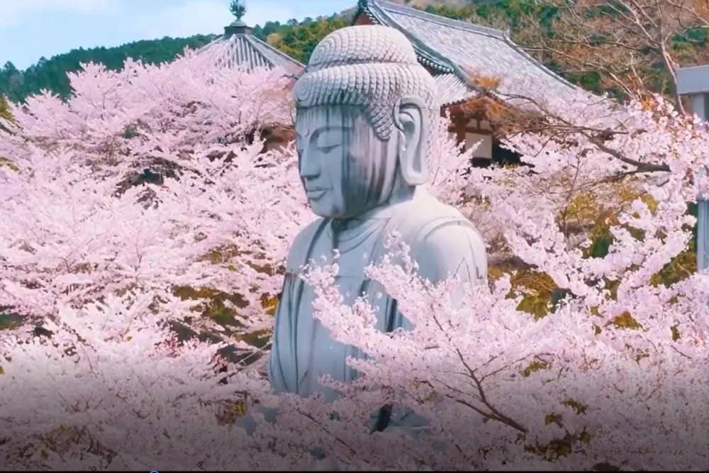 🙏 도쿄 대불(도쿄 다이부츠) 이미지 8